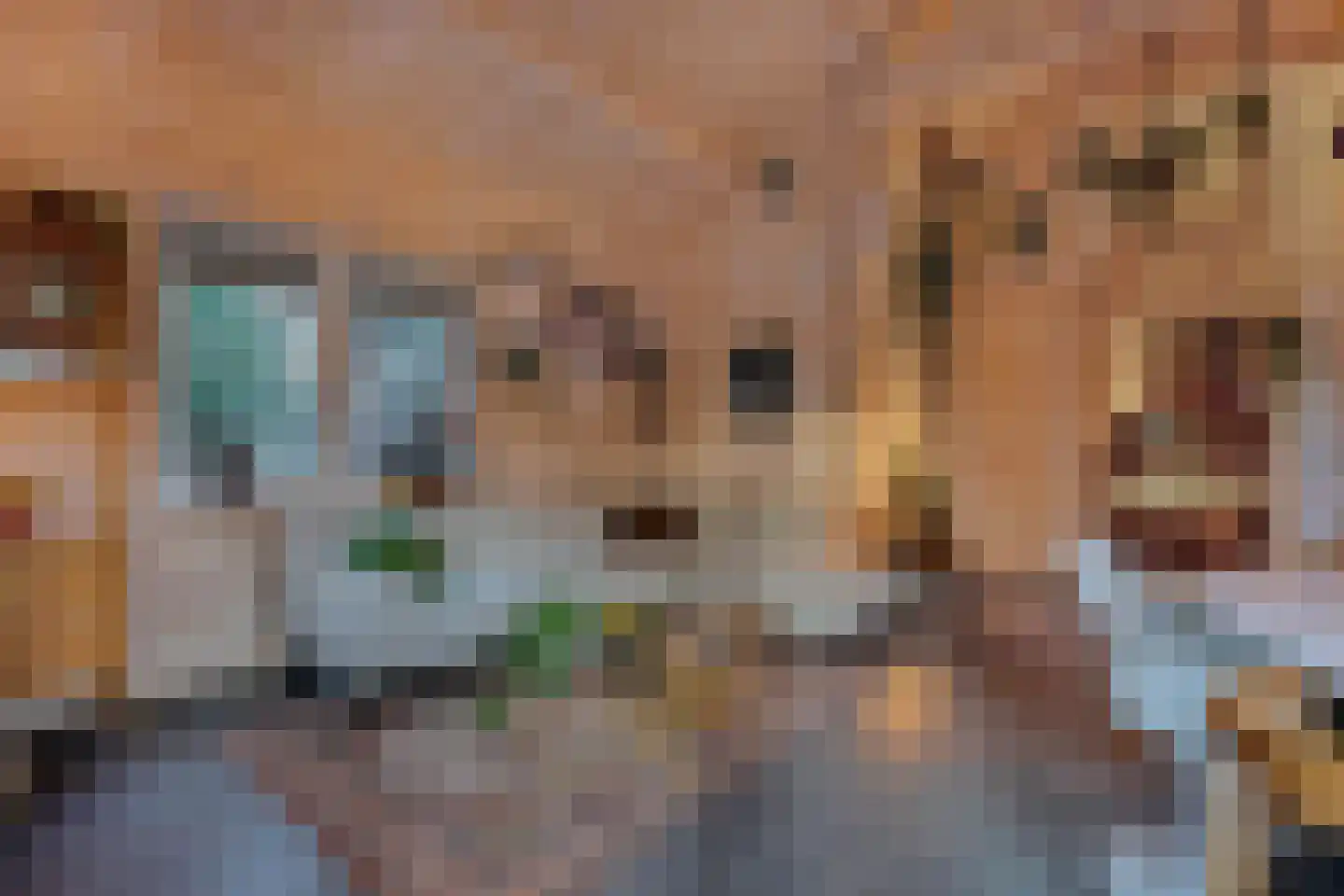 Beukenlaan 5 0008 Oudemirdum thumbnail 20
