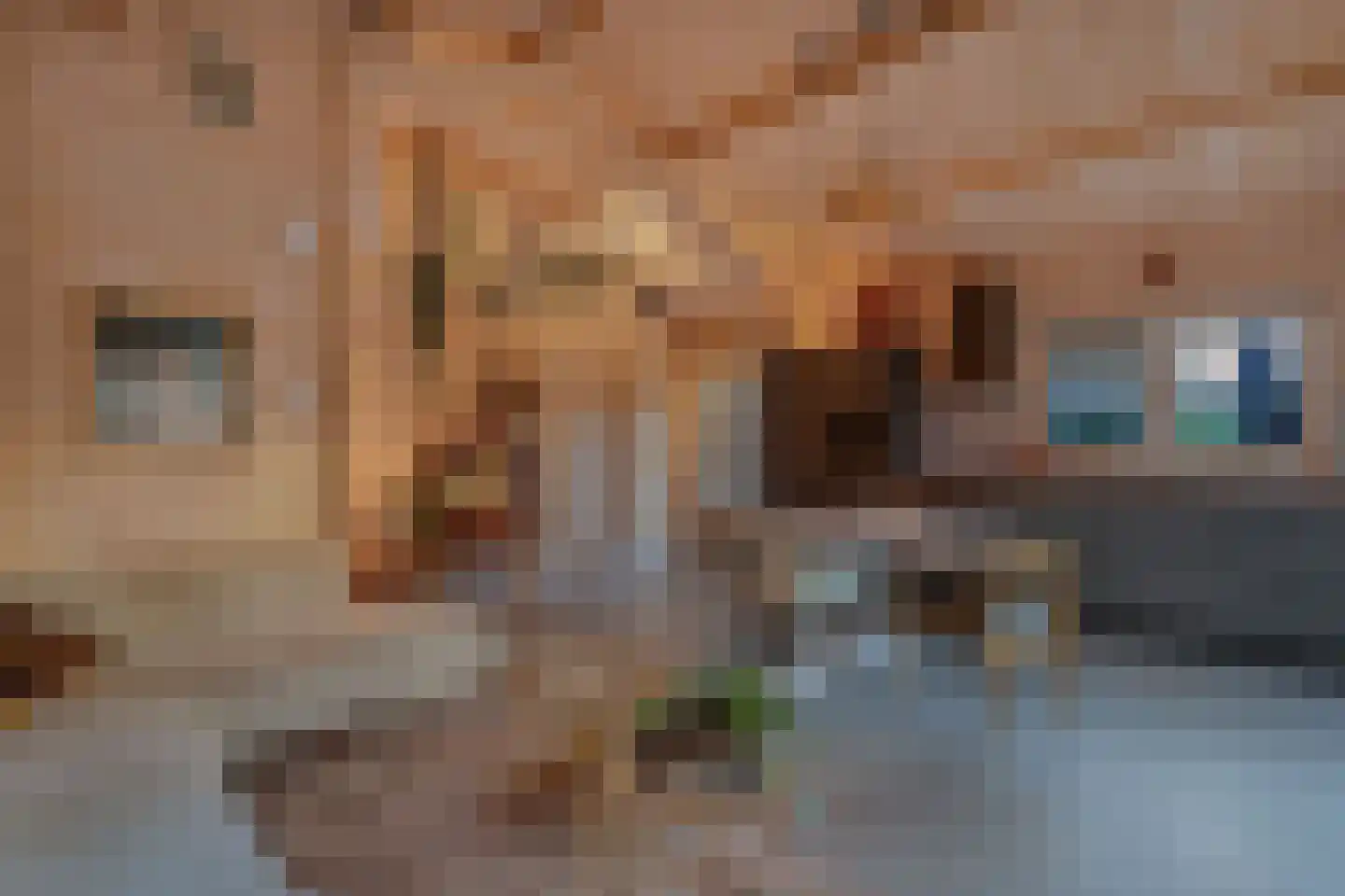 Beukenlaan 5 0008 Oudemirdum thumbnail 21