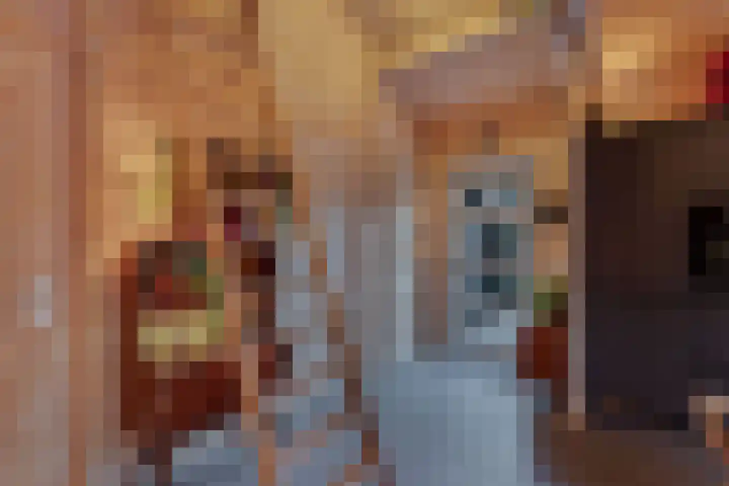 Beukenlaan 5 0008 Oudemirdum thumbnail 22