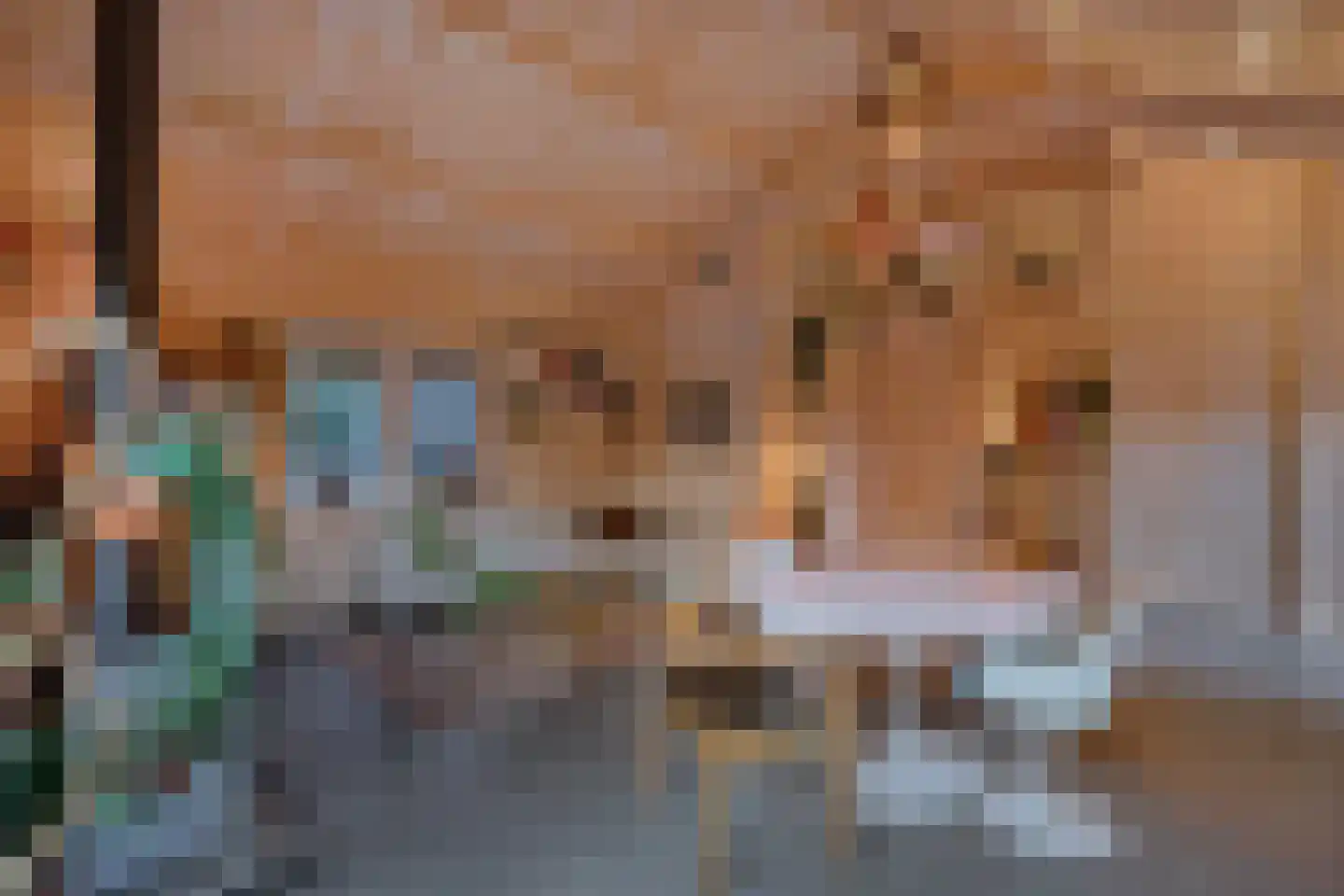 Beukenlaan 5 0008 Oudemirdum thumbnail 23