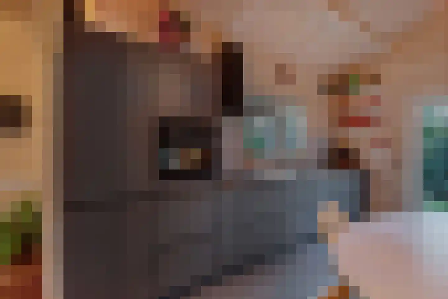 Beukenlaan 5 0008 Oudemirdum thumbnail 25