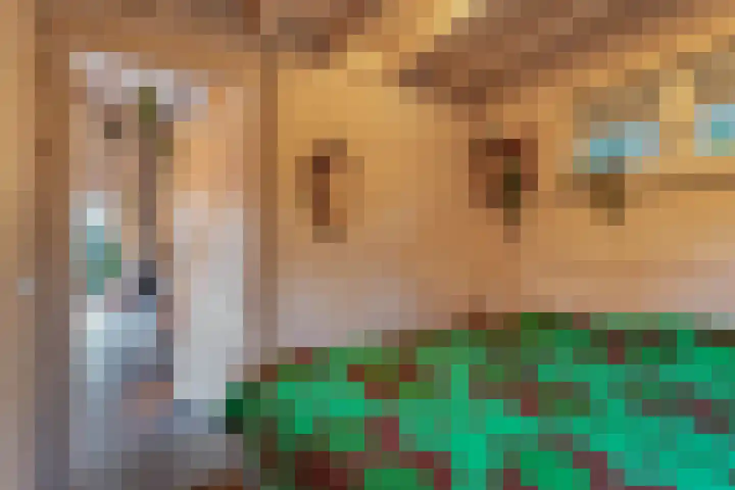 Beukenlaan 5 0008 Oudemirdum thumbnail 30