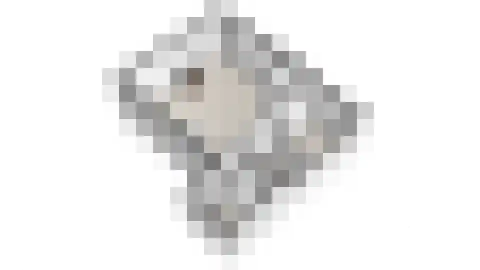 Beukenlaan 5 0008 Oudemirdum thumbnail 34