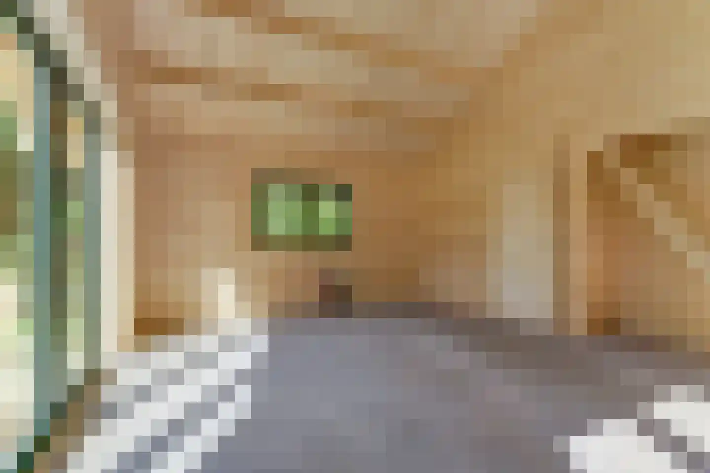 Beukenlaan 5 0012 Oudemirdum thumbnail 11
