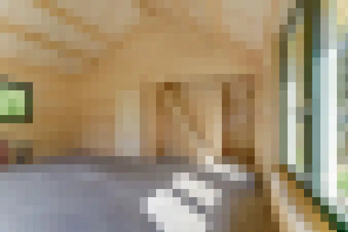 Beukenlaan 5 0012 Oudemirdum thumbnail 12