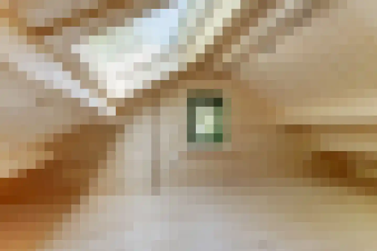 Beukenlaan 5 0012 Oudemirdum thumbnail 18