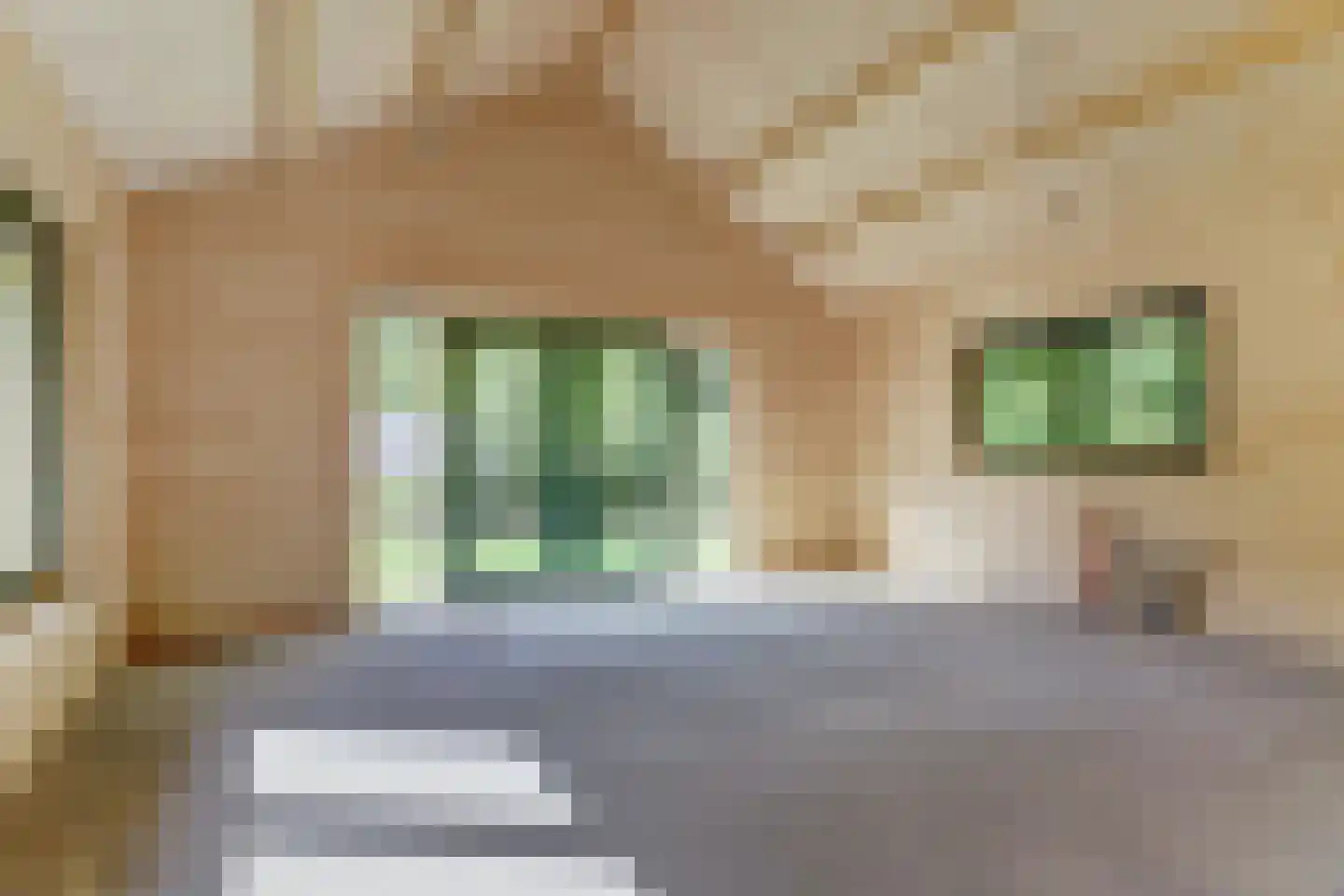 Beukenlaan 5 0012 Oudemirdum thumbnail 8