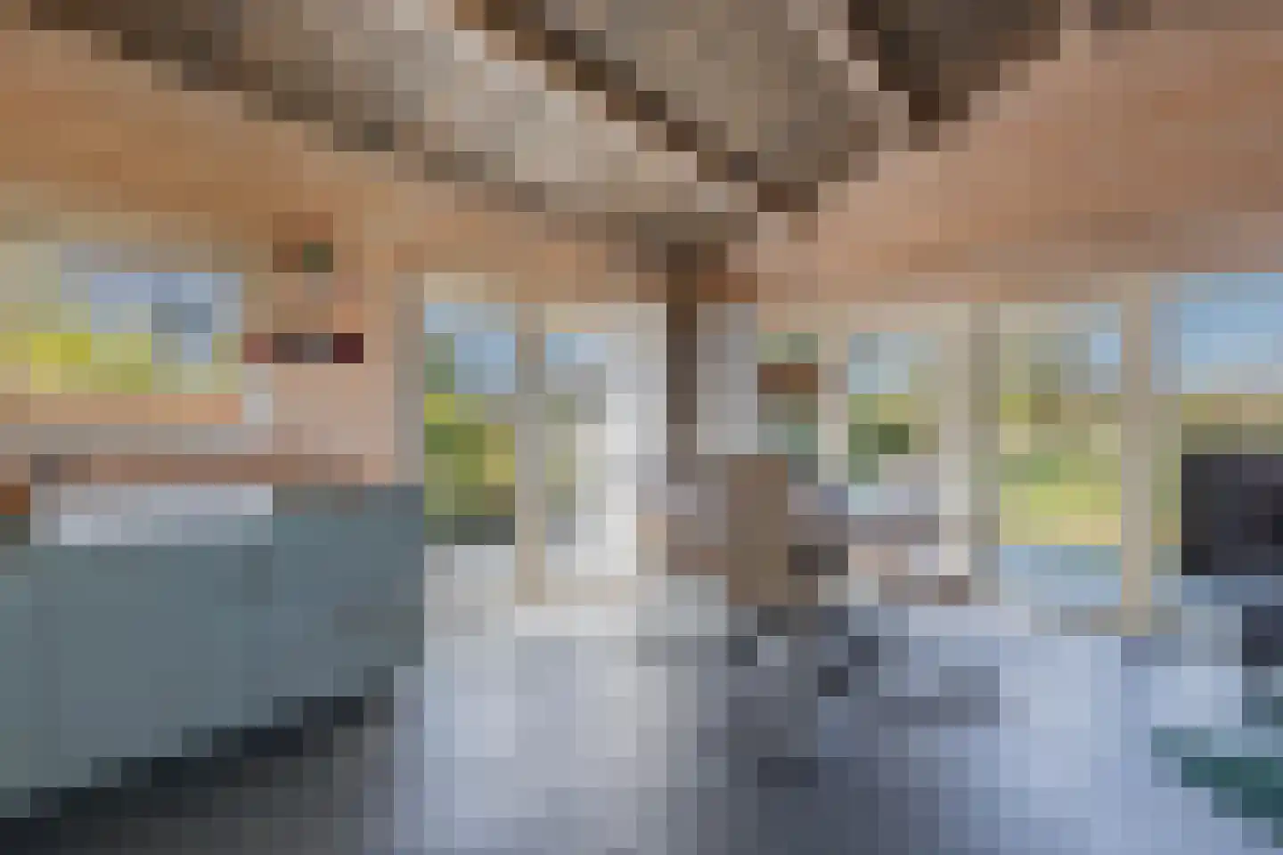 Beukenlaan 5 0022 Oudemirdum thumbnail 10