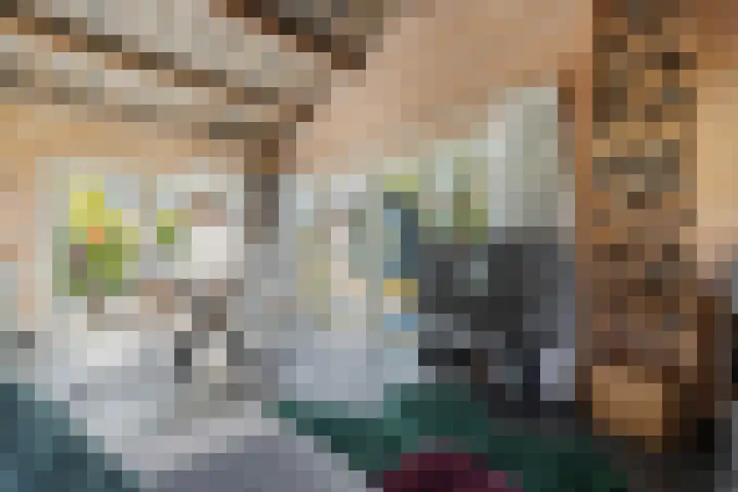 Beukenlaan 5 0022 Oudemirdum thumbnail 14