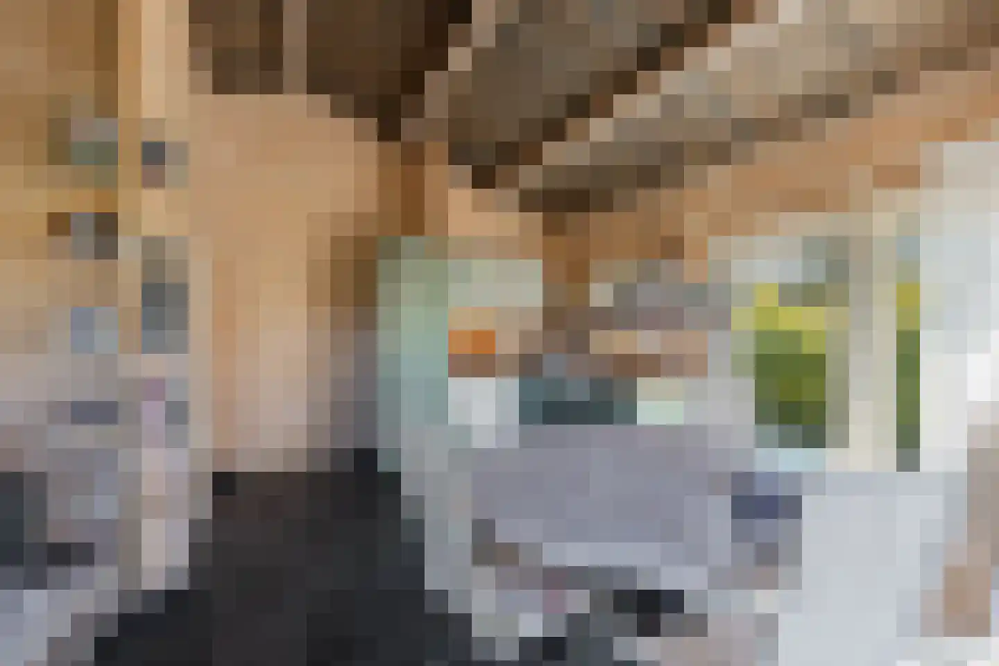 Beukenlaan 5 0022 Oudemirdum thumbnail 18