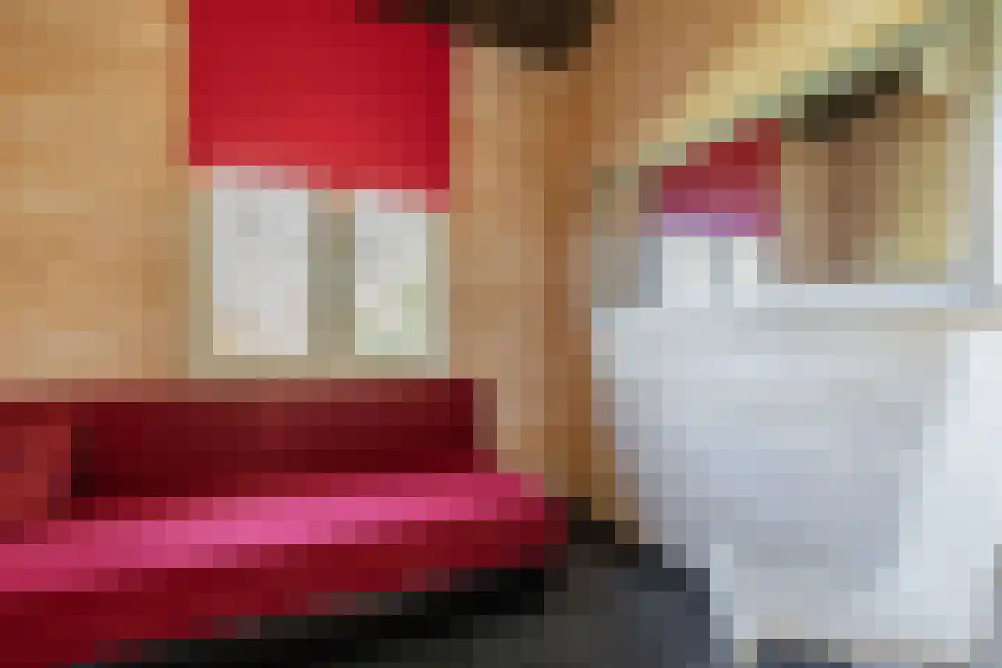 Beukenlaan 5 0022 Oudemirdum thumbnail 27