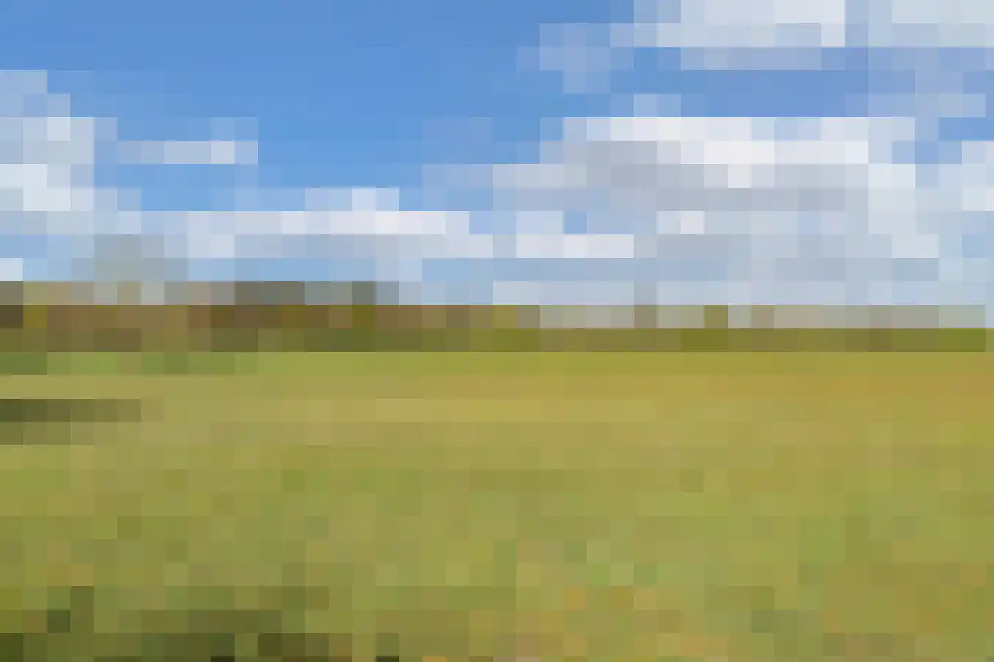 Beukenlaan 5 0022 Oudemirdum thumbnail 33