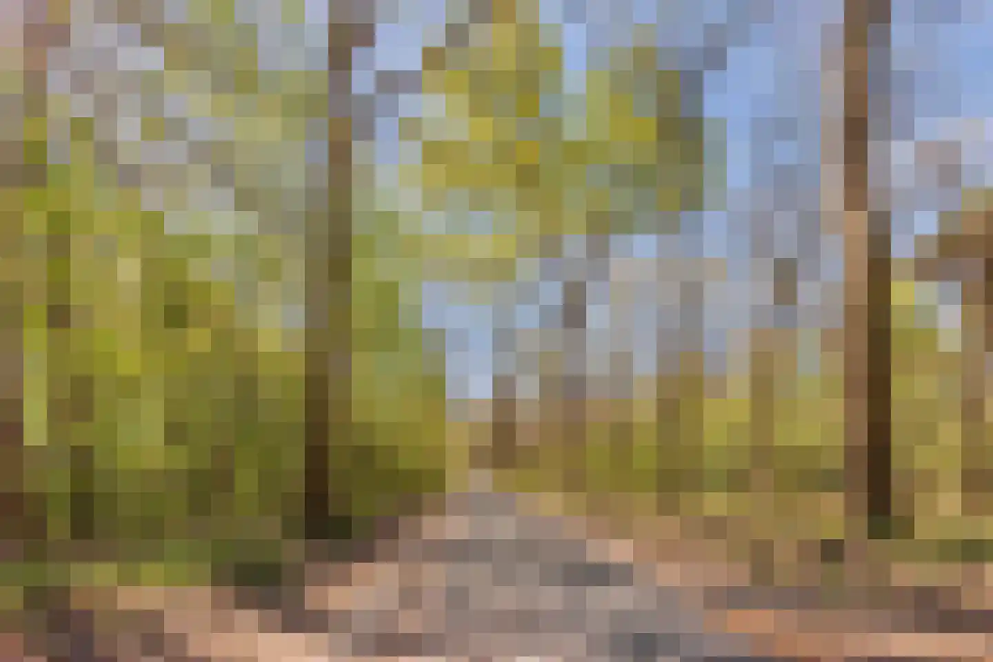Beukenlaan 5 0022 Oudemirdum thumbnail 36