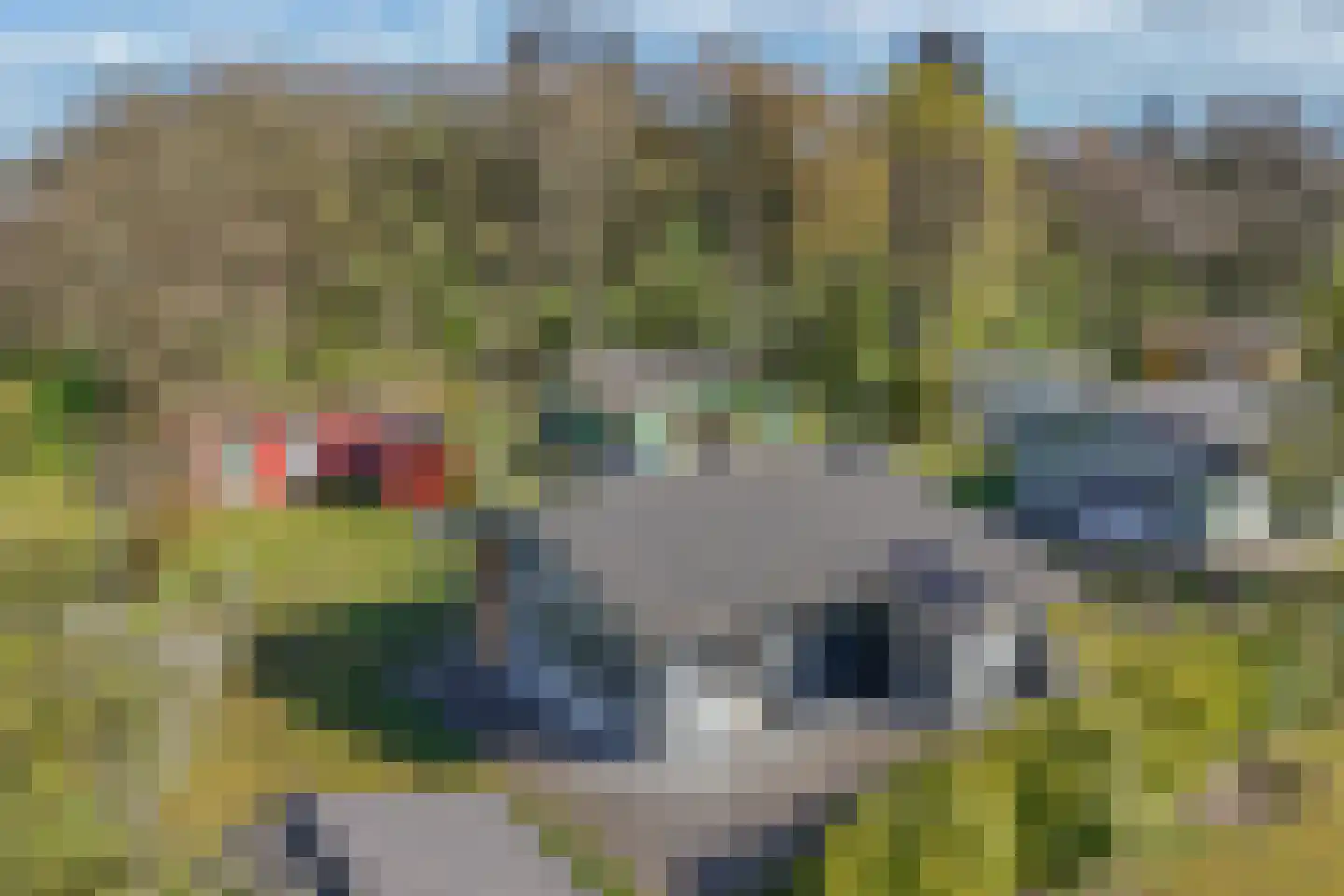 Beukenlaan 5 0022 Oudemirdum thumbnail 37