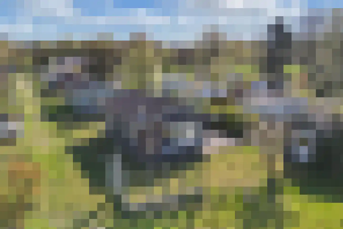 Beukenlaan 5 0022 Oudemirdum thumbnail 38