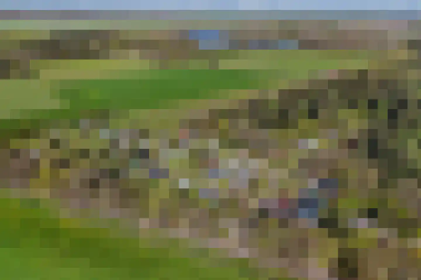 Beukenlaan 5 0022 Oudemirdum thumbnail 39