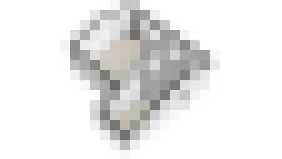 Beukenlaan 5 0022 Oudemirdum thumbnail 42