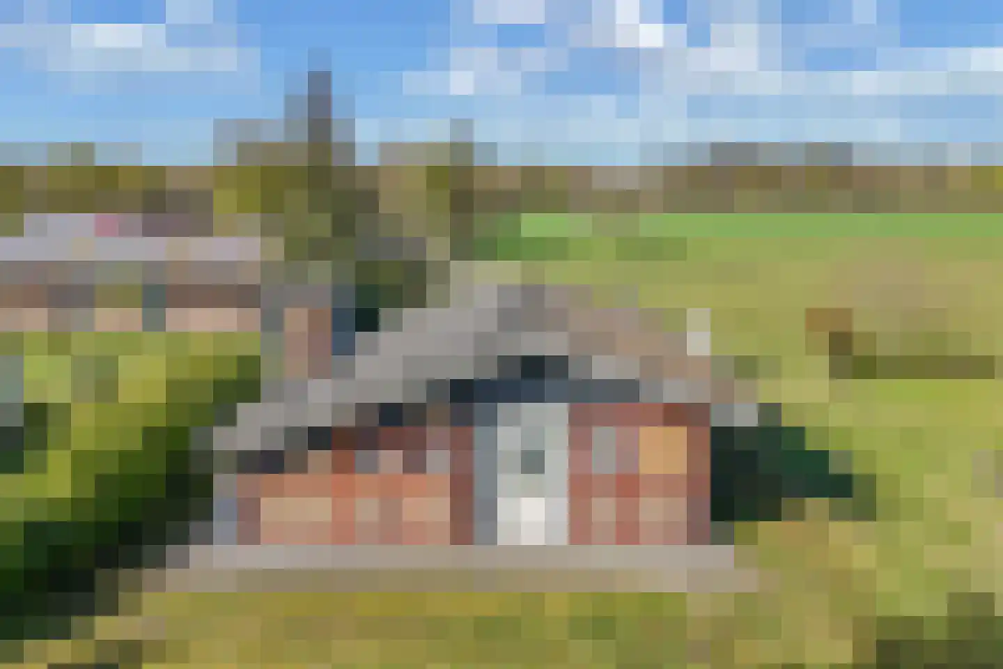 Beukenlaan 5 0022 Oudemirdum thumbnail 6