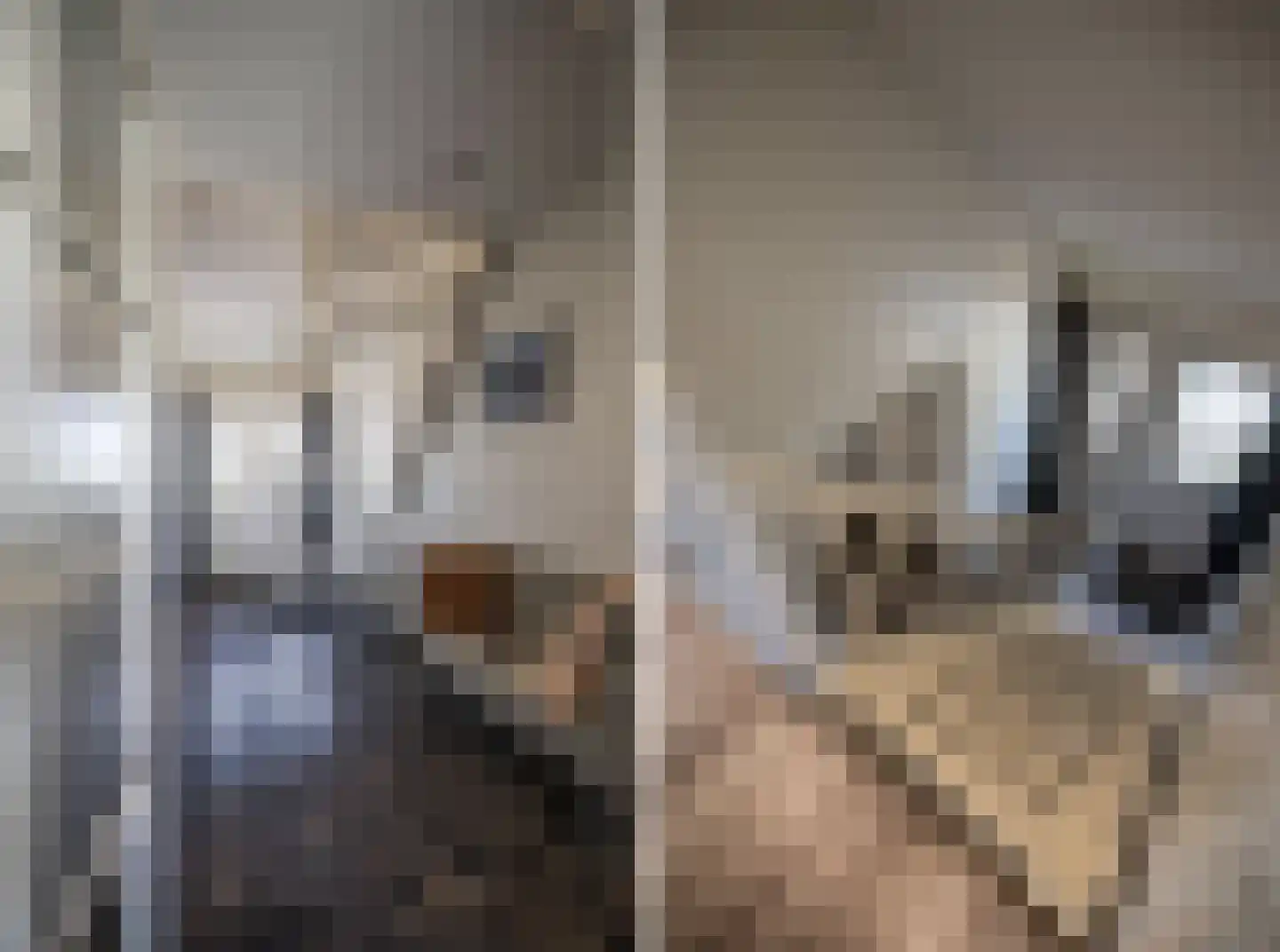 Beukenlaan 5 Aadorp thumbnail 21