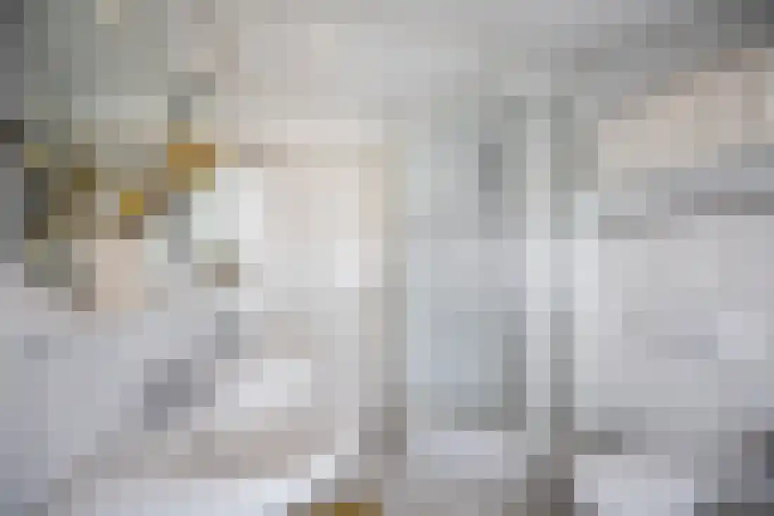 Beukenlaan 5 Aadorp thumbnail 29