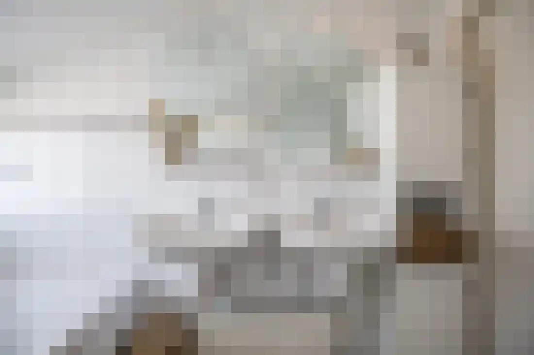 Beukenlaan 5 Aadorp thumbnail 30