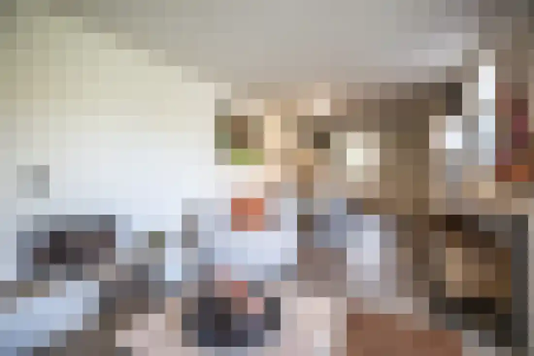 Beukenlaan 5 Aadorp thumbnail 48