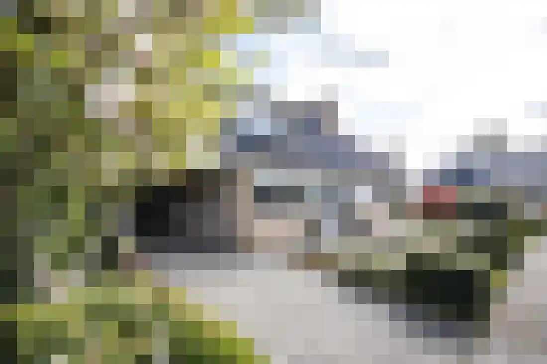 Beukenlaan 5 Aadorp thumbnail 5