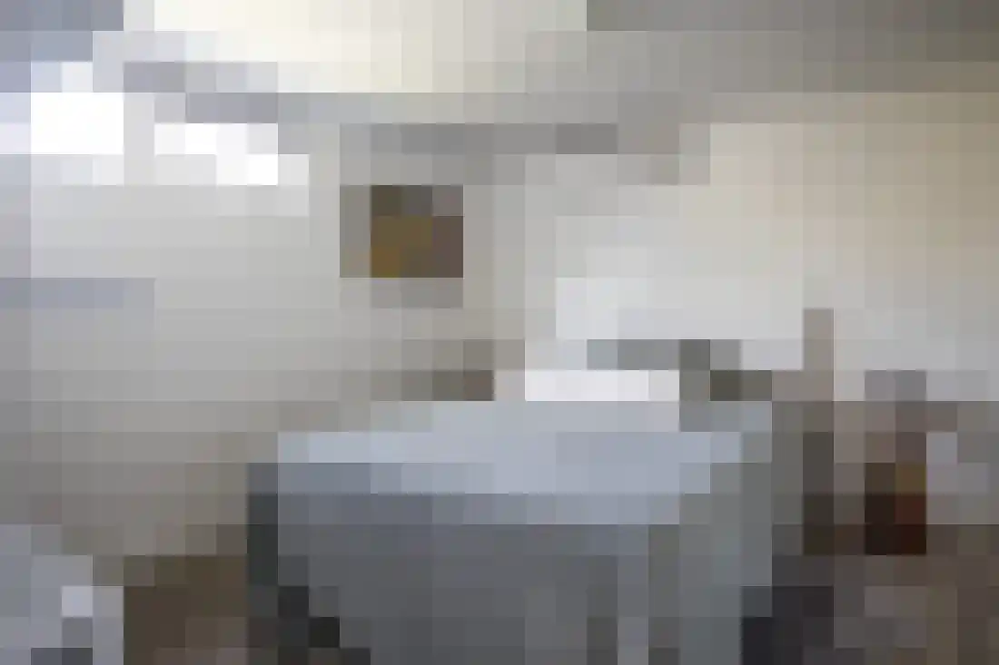 Beukenlaan 5 Aadorp thumbnail 50