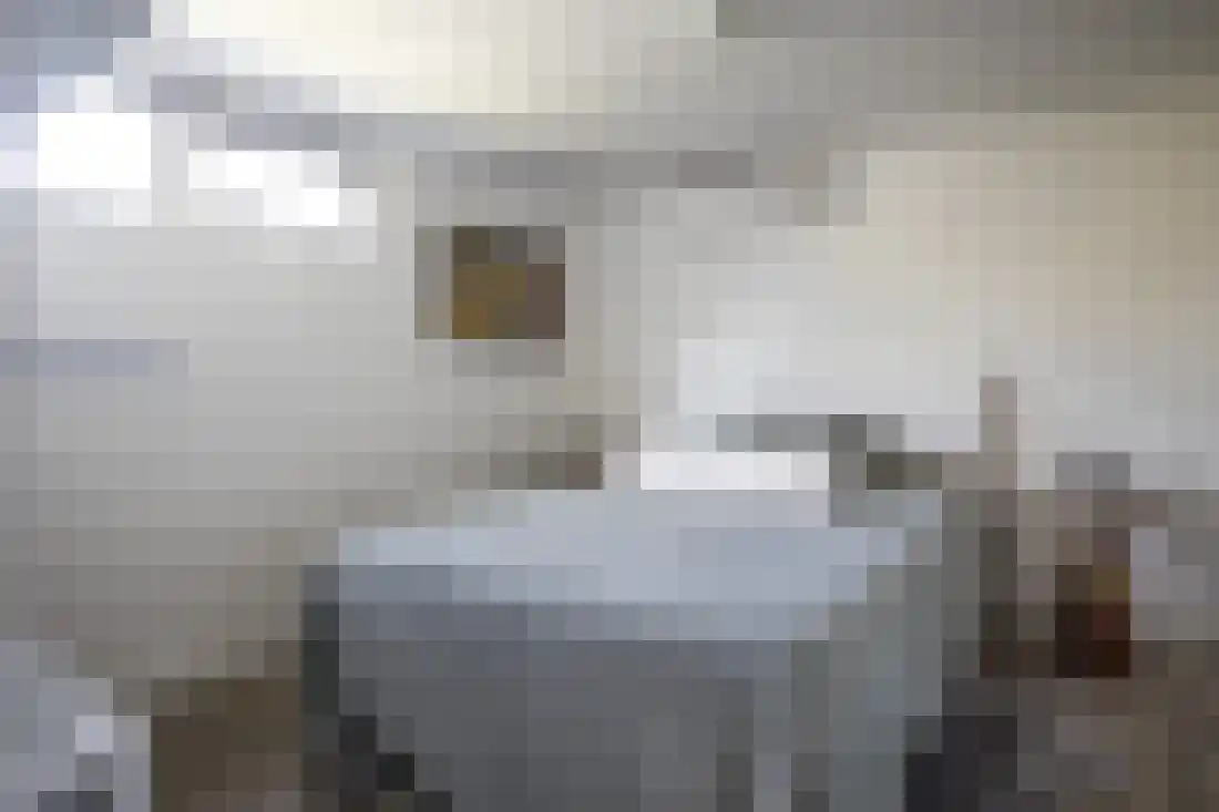 Beukenlaan 5 Aadorp thumbnail 50