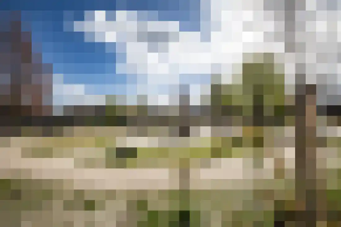 Beukenlaan 5 Aadorp thumbnail 55
