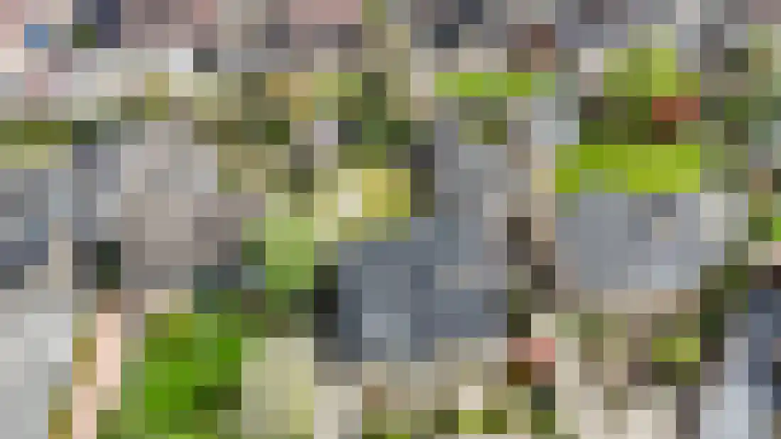Beukenlaan 5 Aadorp thumbnail 58
