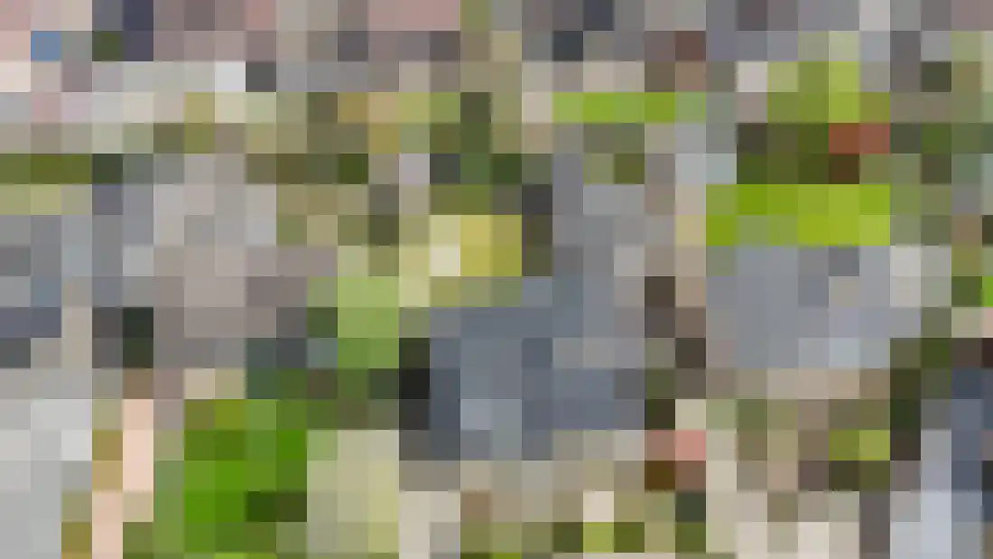 Beukenlaan 5 Aadorp thumbnail 58