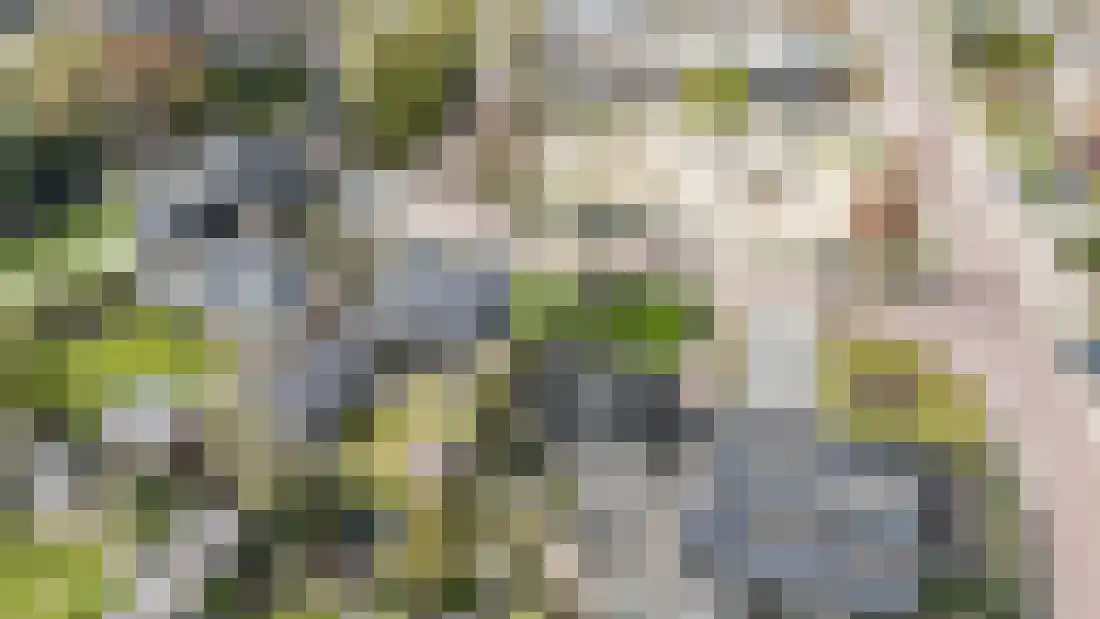 Beukenlaan 5 Aadorp thumbnail 59