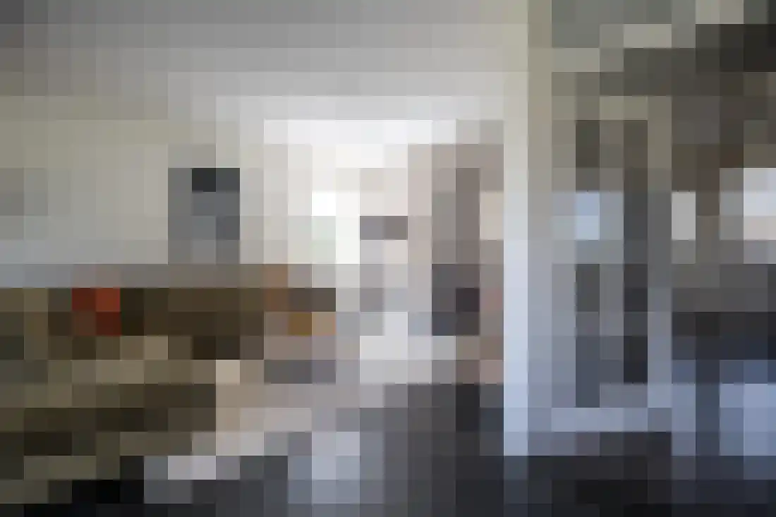 Beukenlaan 5 Aadorp thumbnail 9