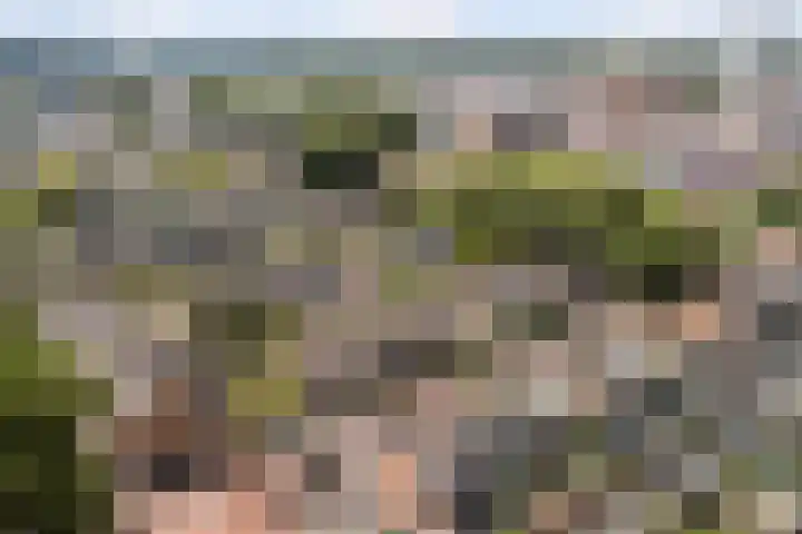 Beukenlaan 5 Alphen aan den Rijn thumbnail 10