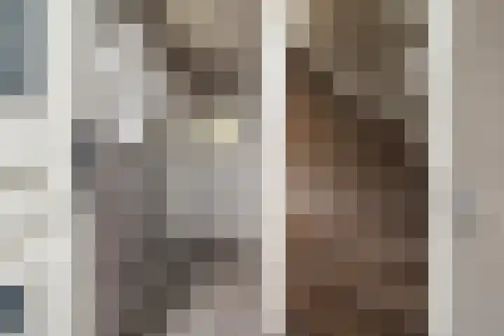 Beukenlaan 5 Alphen aan den Rijn thumbnail 12