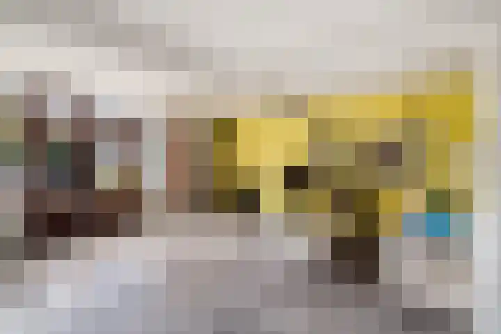 Beukenlaan 5 Alphen aan den Rijn thumbnail 17