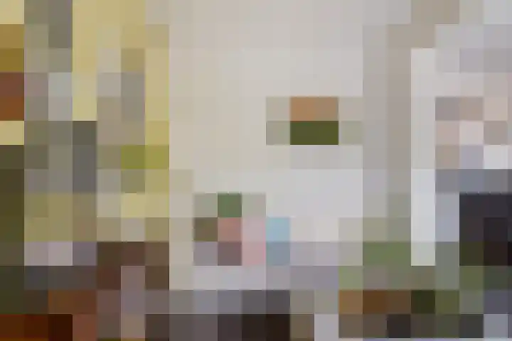 Beukenlaan 5 Alphen aan den Rijn thumbnail 19
