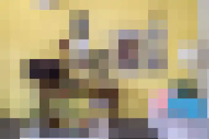 Beukenlaan 5 Alphen aan den Rijn thumbnail 20