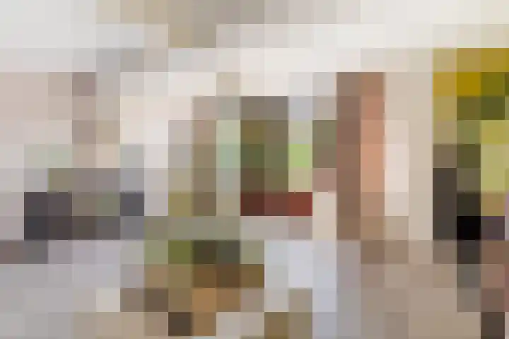 Beukenlaan 5 Alphen aan den Rijn thumbnail 21