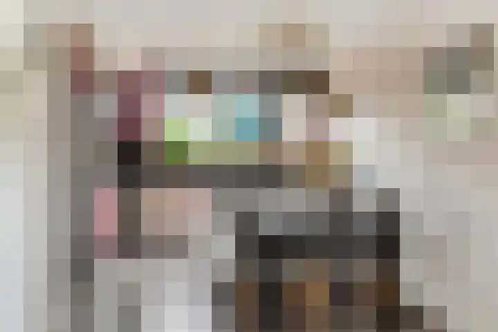 Beukenlaan 5 Alphen aan den Rijn thumbnail 23
