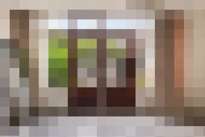 Beukenlaan 5 Alphen aan den Rijn thumbnail 30