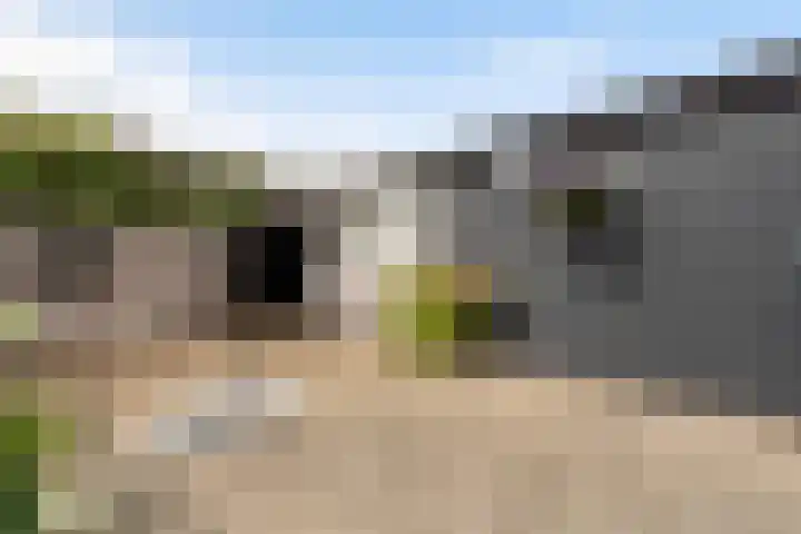 Beukenlaan 5 Alphen aan den Rijn thumbnail 31