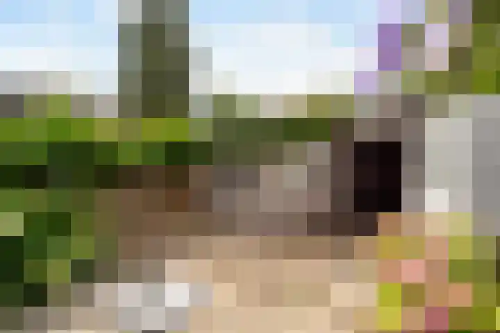 Beukenlaan 5 Alphen aan den Rijn thumbnail 32