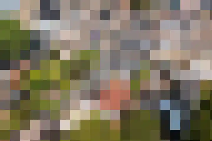 Beukenlaan 5 Alphen aan den Rijn thumbnail 35