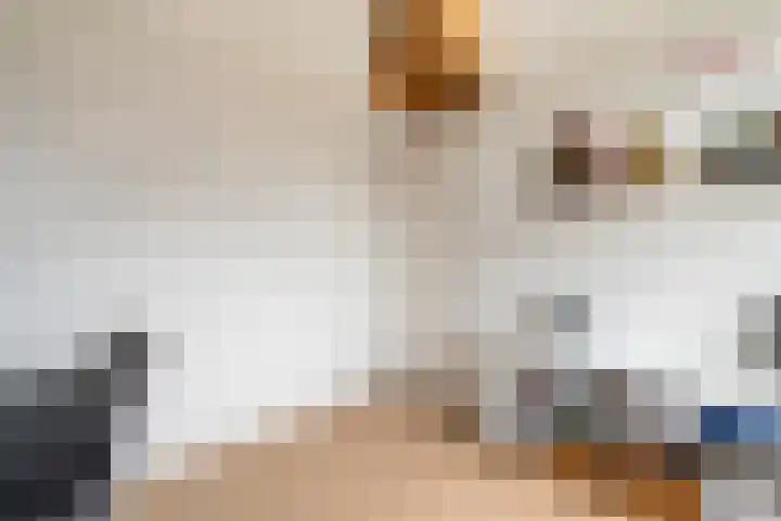 Beukenlaan 5 Alphen aan den Rijn thumbnail 39