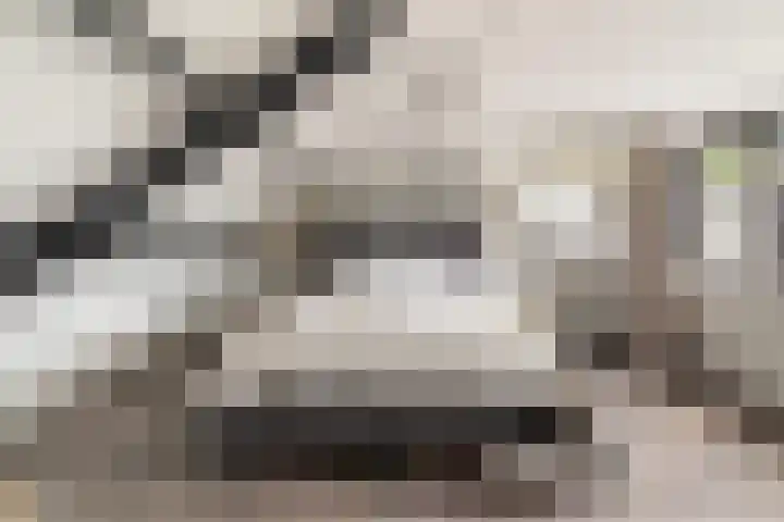 Beukenlaan 5 Alphen aan den Rijn thumbnail 47