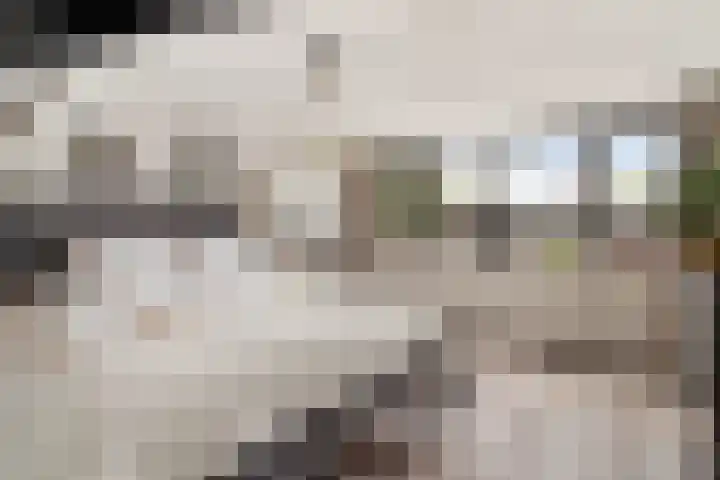 Beukenlaan 5 Alphen aan den Rijn thumbnail 48