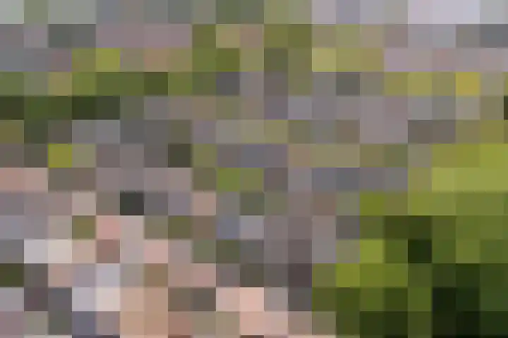 Beukenlaan 5 Alphen aan den Rijn thumbnail 50
