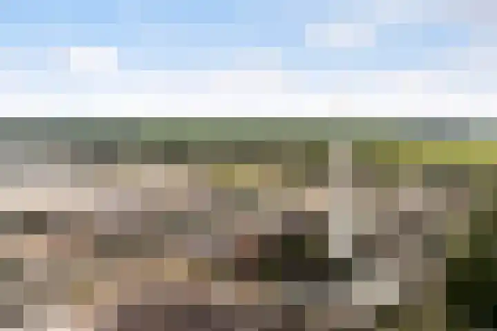 Beukenlaan 5 Alphen aan den Rijn thumbnail 52